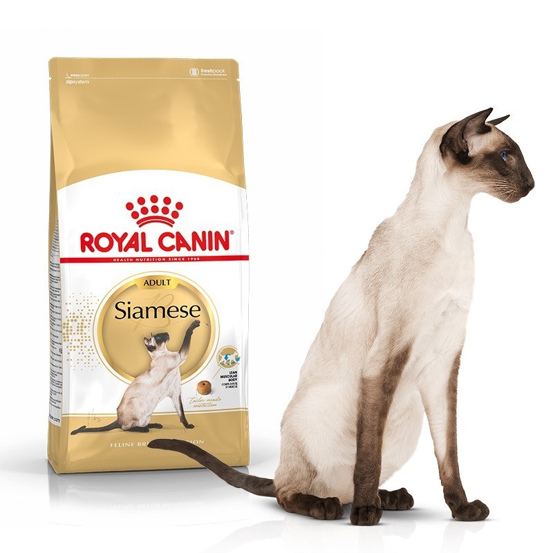 Royal Canin Siamese Adult