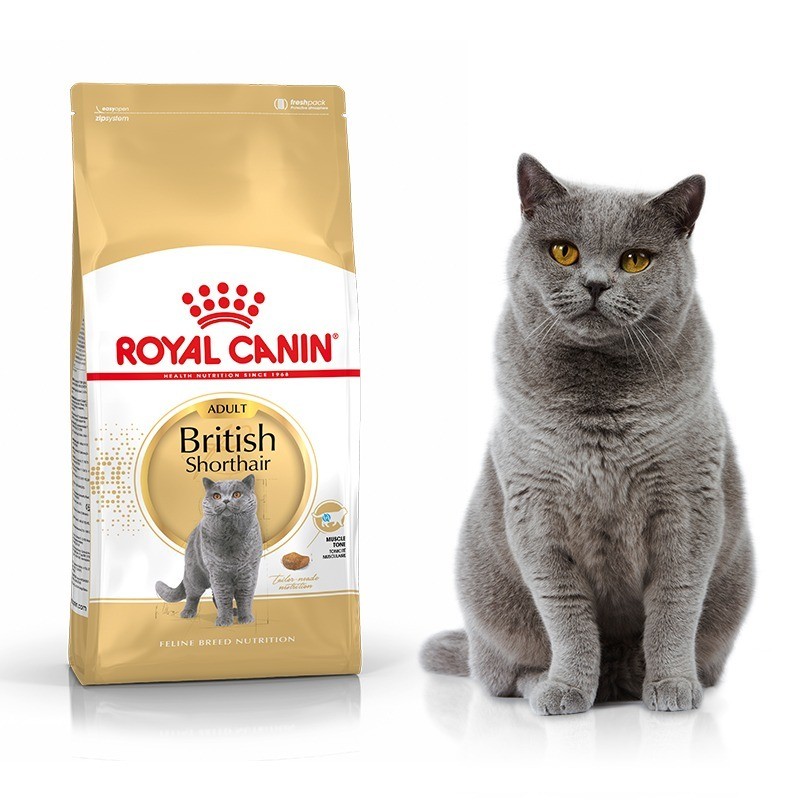 Royal Canin British Shorthair karma sucha dla kotów dorosłych rasy brytyjski krótkowłosy 