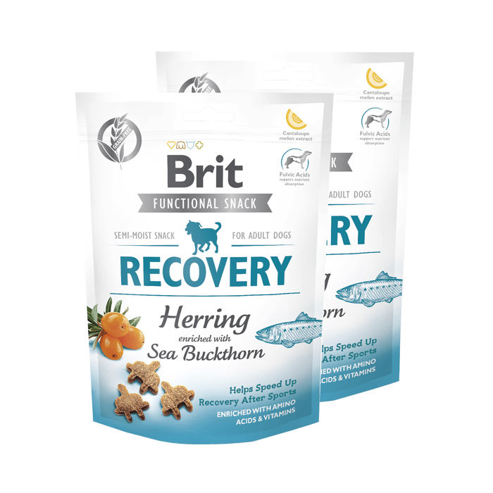Brit Care Functional Snack Recovery Herring 150g