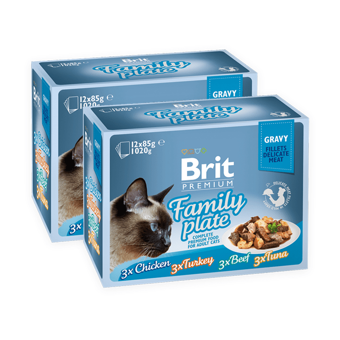 Brit Pouch Family Plate Fillet in Gravy 85g x 12