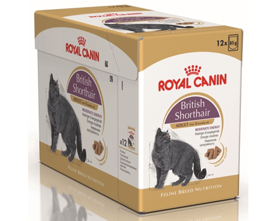 Royal Canin British Shorthair 6x85g