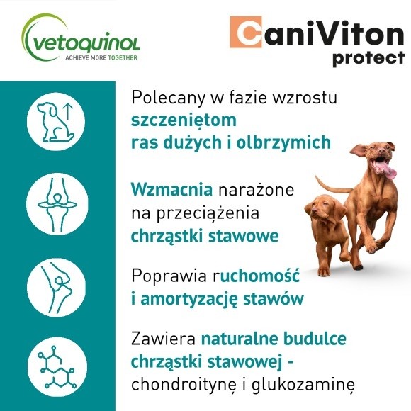 Vetoquinol Caniviton Protect 30 tabletek