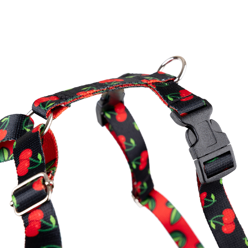 Amiplay BeHappy Szelki regulowane Discovery [rozmiar M] 25-40 x 35-50cm 