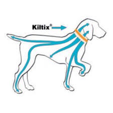Bayer Kiltix Obroża przeciw pchłom i kleszczom dla psa 70cm