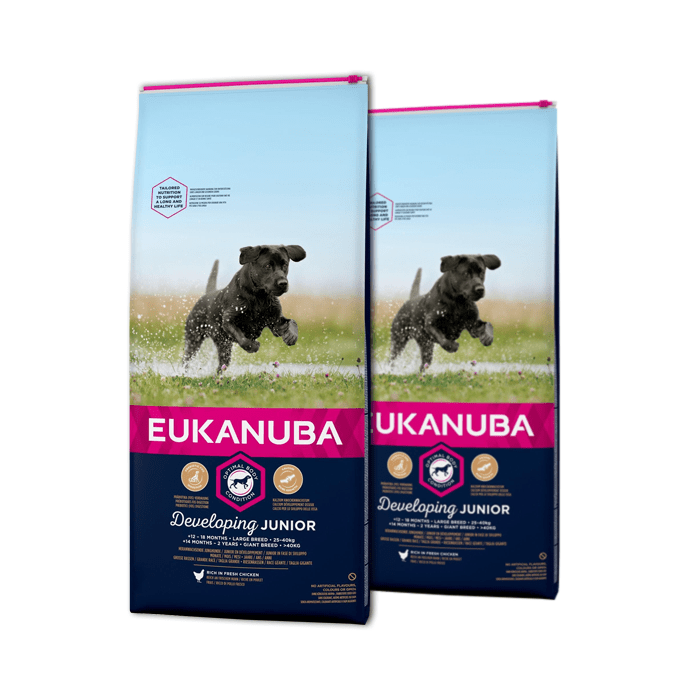 Eukanuba Developing Junior Large & Giant Breed