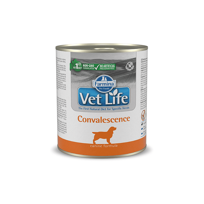 Farmina Vet Life Natural Diet Dog Convalescence 300g