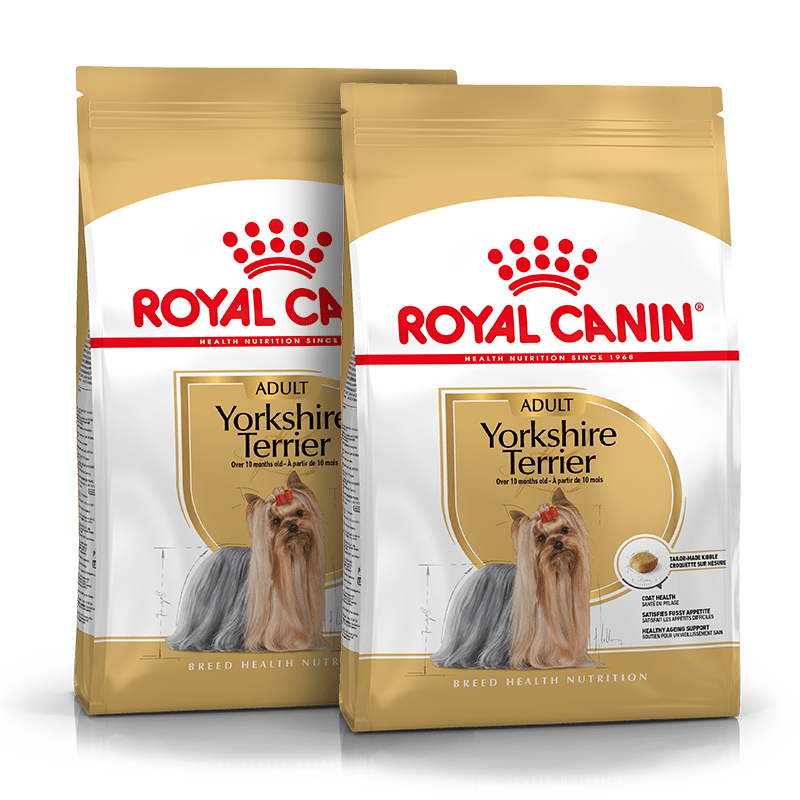 Royal Canin Yorkshire Terrier Adult karma sucha dla dorosłych psów rasy yorkshire terrier