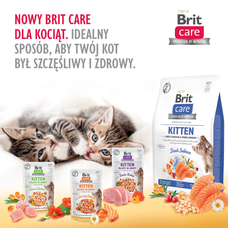 Brit Care Cat Kitten Fileciki w sosie z rokitnikiem i nasturcją 85g x 12