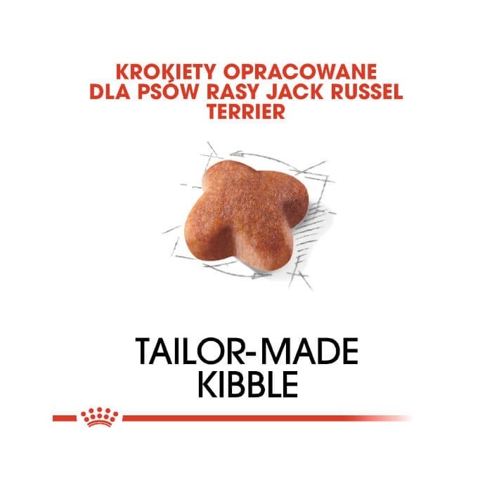 Royal Canin Adult Jack Russell Terrier 
