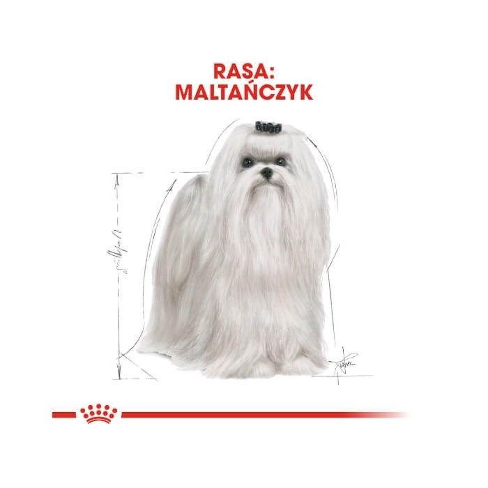 Royal Canin Adult Maltese 