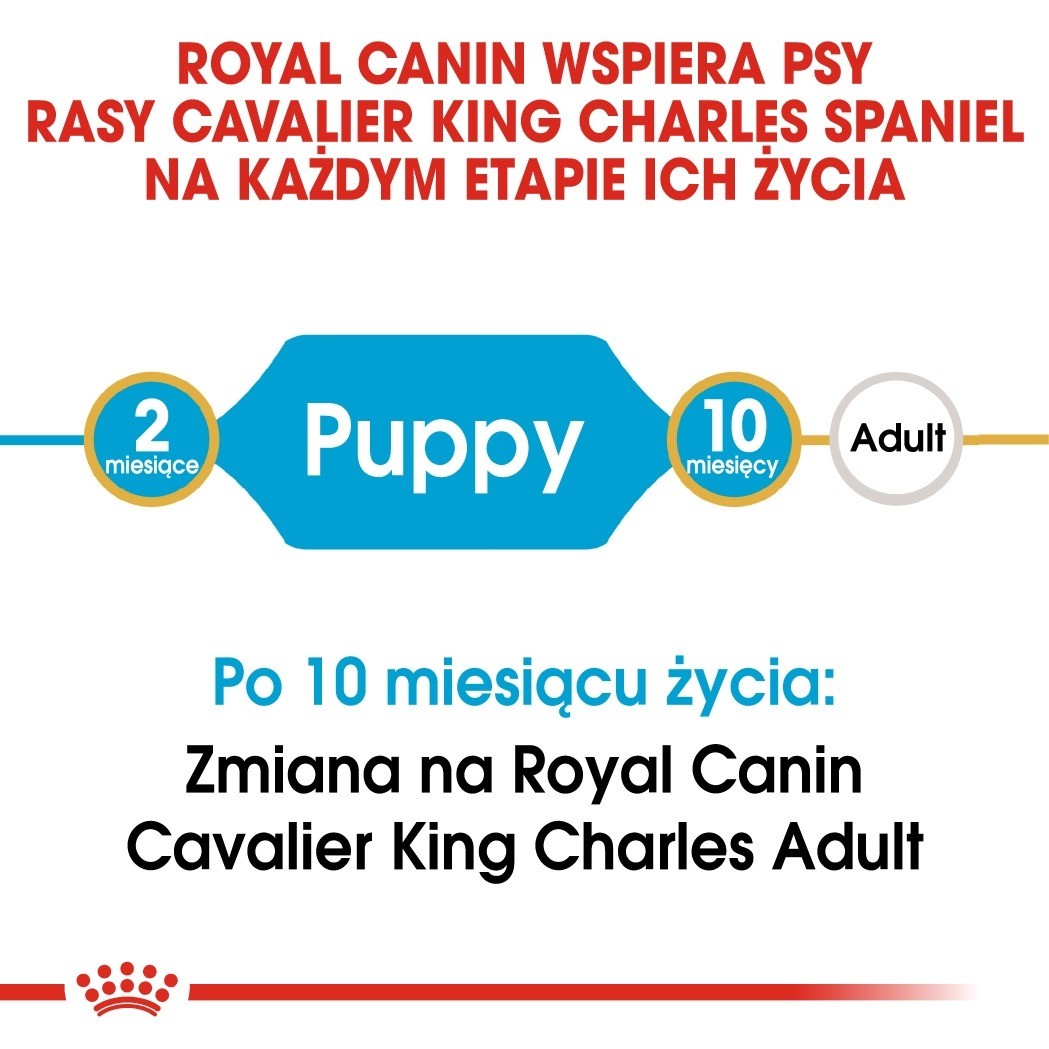 Royal Canin Puppy Cavalier King Charles