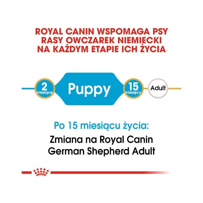 Royal Canin German Shepherd Puppy karma sucha dla szczeniąt do 15 miesiąca, rasy owczarek niemiecki