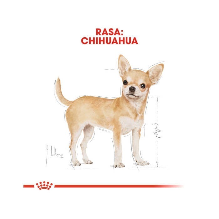 Royal Canin Adult Chihuahua saszetka 85g