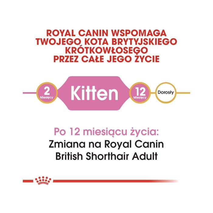Royal Canin Kitten British Shorthair
