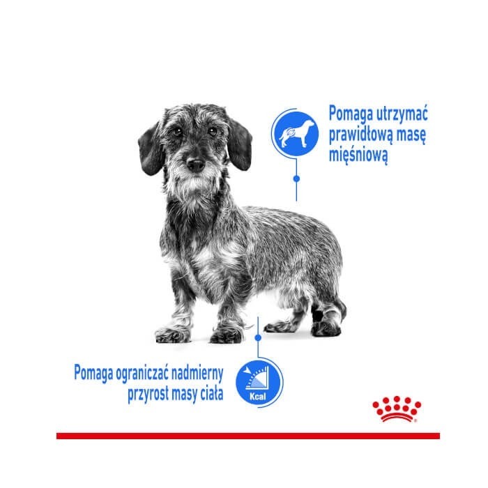 Royal Canin Mini Light Care karma sucha dla psów dorosłych, ras małych tendencją do nadwagi