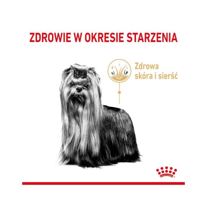 Royal Canin Adult 8+ Yorkshire Terrier