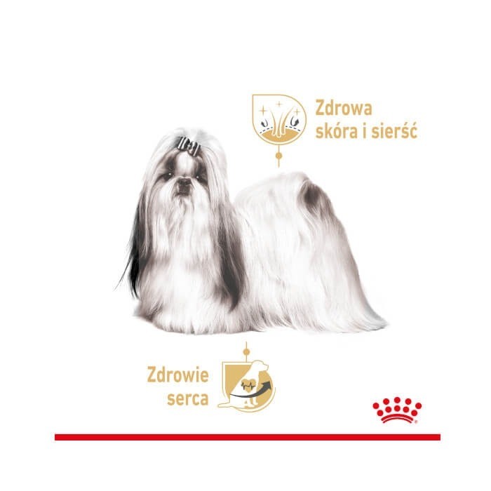 Royal Canin Adult Shih Tzu 85g