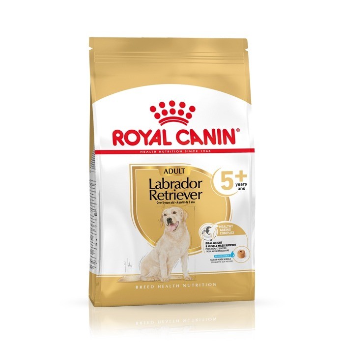 Royal Canin Adult 5+ Labrador Retriever