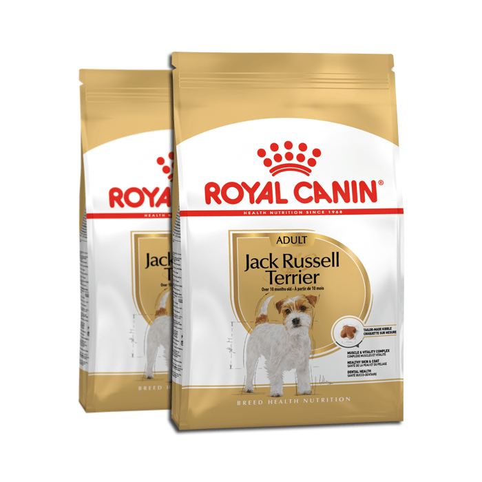 Royal Canin Adult Jack Russell Terrier 