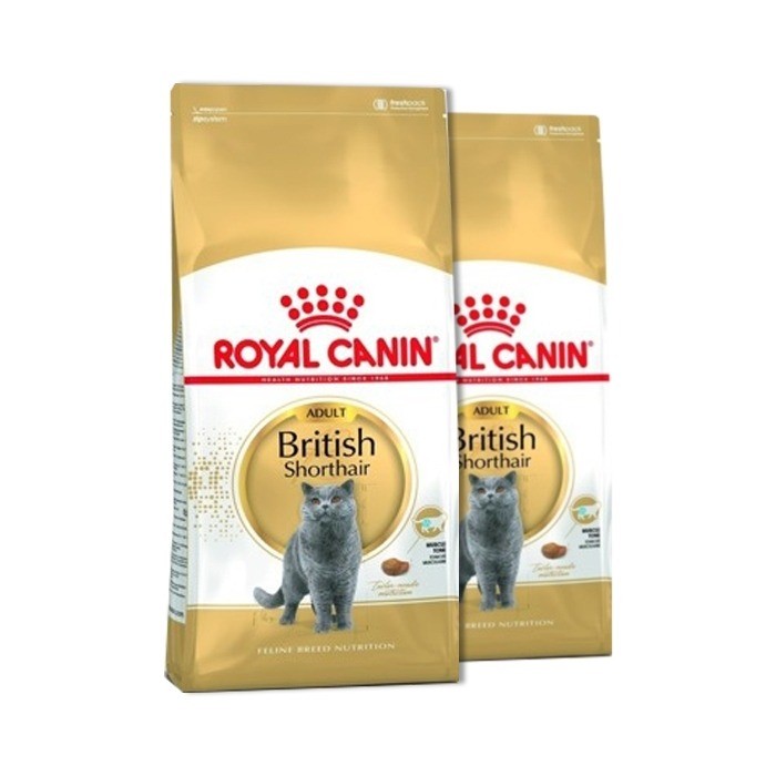Royal Canin British Shorthair karma sucha dla kotów dorosłych rasy brytyjski krótkowłosy 