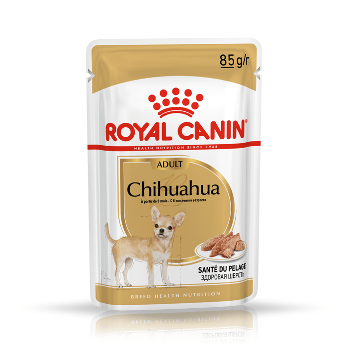 Royal Canin Adult Chihuahua saszetka 6x85g