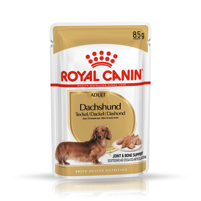 Royal Canin Adult Dachshund saszetka 12x85g