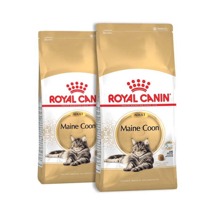 Royal Canin Maine Coon  karma sucha dla kotów dorosłych rasy Maine Coon