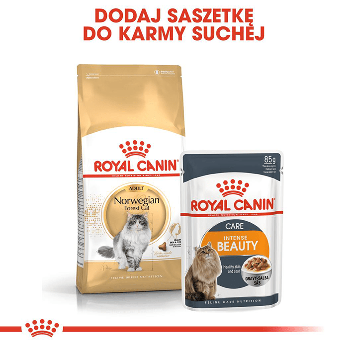 Royal Canin Norwegian Forest Cat Adult