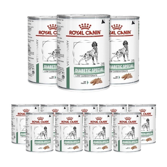 Royal Canin Veterinary Diet Canine Diabetic Special Low Carbohydrate 410g