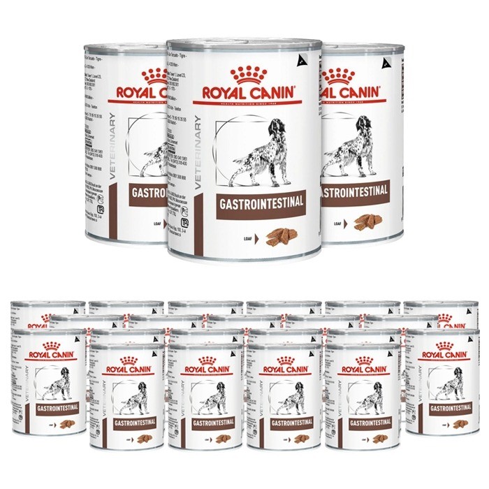 Royal Canin Veterinary Diet Canine Gastro Intestinal 400g