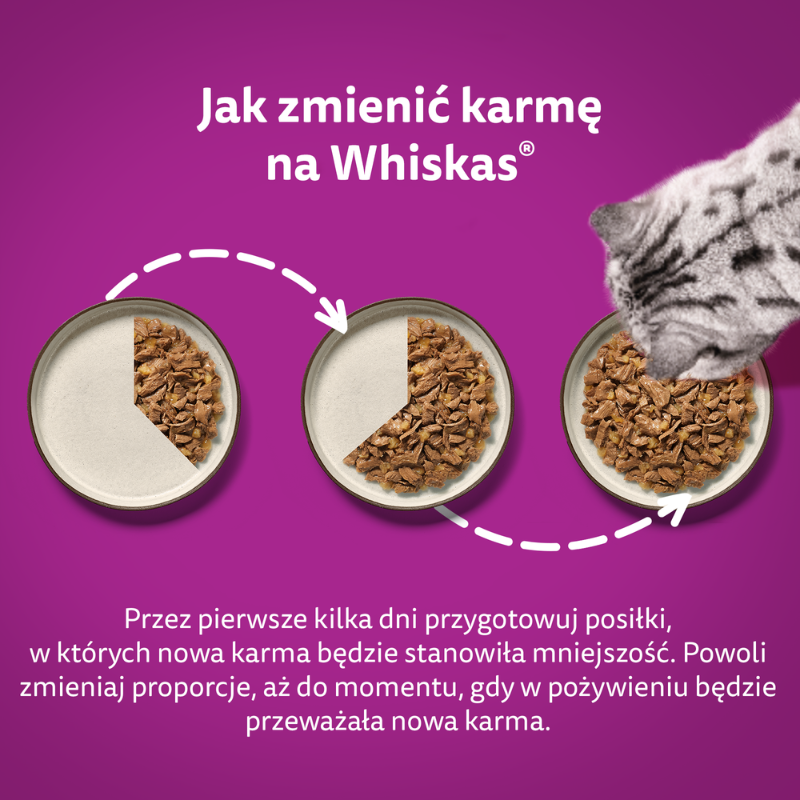 Whiskas Adult Klasyczne Posiłki w sosie 85g x 40