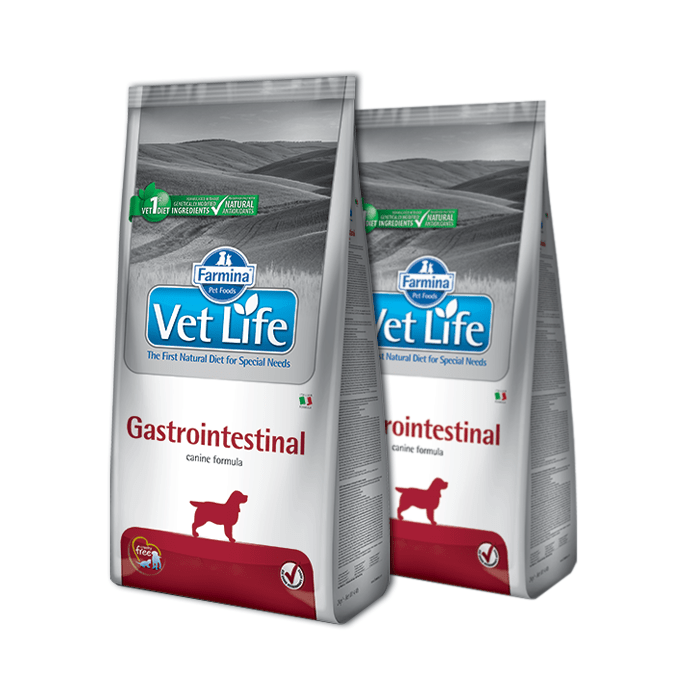 Farmina Vet Life Dog Gastrointestinal 