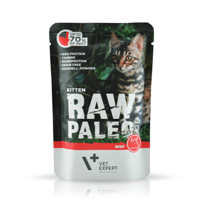 VetExpert Raw Paleo Kitten 100g x 12 - mokra karma dla kociąt
