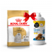 Karmy suche dla psa - Royal Canin Adult Maltese 