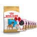 Karmy suche dla psa - Royal Canin Puppy Boxer