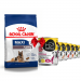 Karmy suche dla psa - Royal Canin Maxi Ageing 8+