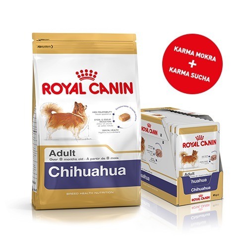 Karmy suche dla psa - Pakiet Royal Canin Chihuahua 1,5kg + 12 szt. saszetek
