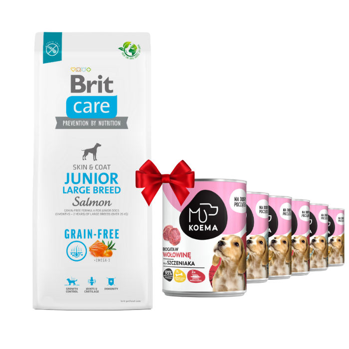 Karmy suche dla psa - Brit Care Grain-free Junior Large Breed Salmon 12kg + Koema Junior mix 3 smaków 400g x 6