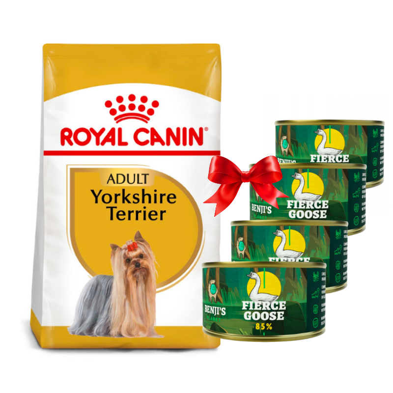 Karmy suche dla psa - Royal Canin Yorkshire Terrier Adult karma sucha dla dorosłych psów rasy yorkshire terrier