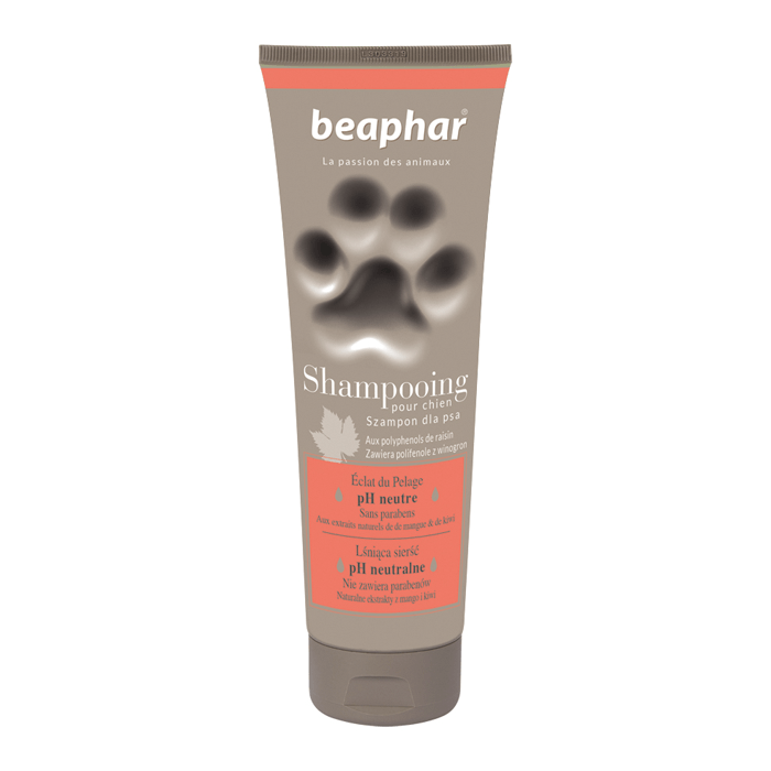 Higiena, pielęgnacja sierści - Beaphar Premium Szampon dla psów na lśniącą sierść 250ml
