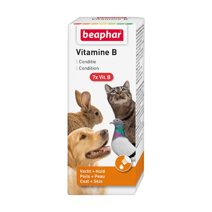 Suplementy - Beaphar Vitamin B Complex krople dla psa i kota 50ml