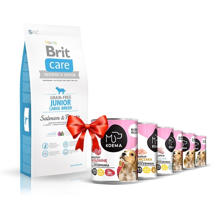 Karmy suche dla psa - Brit Care Grain-free Junior Large Breed Salmon & Potato Sucha karma łosoś i ziemniaki