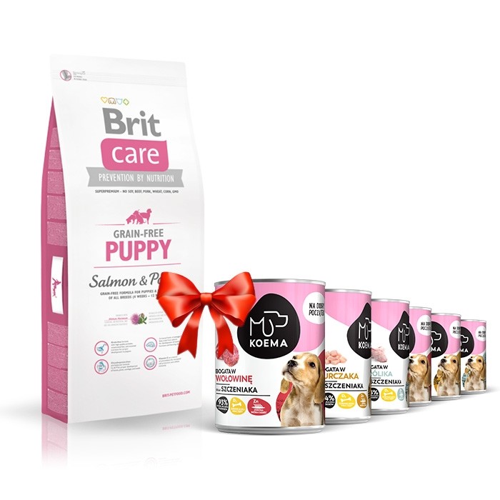 Karmy suche dla psa - Brit Care Grain-free Puppy Salmon & Potato