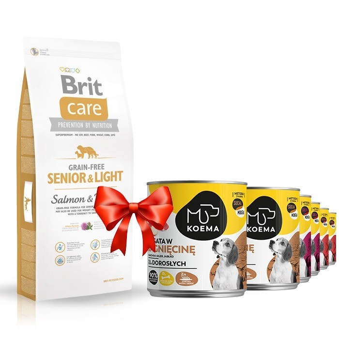 Karmy suche dla psa - Brit Care Grain-free Senior Light Salmon & Potato