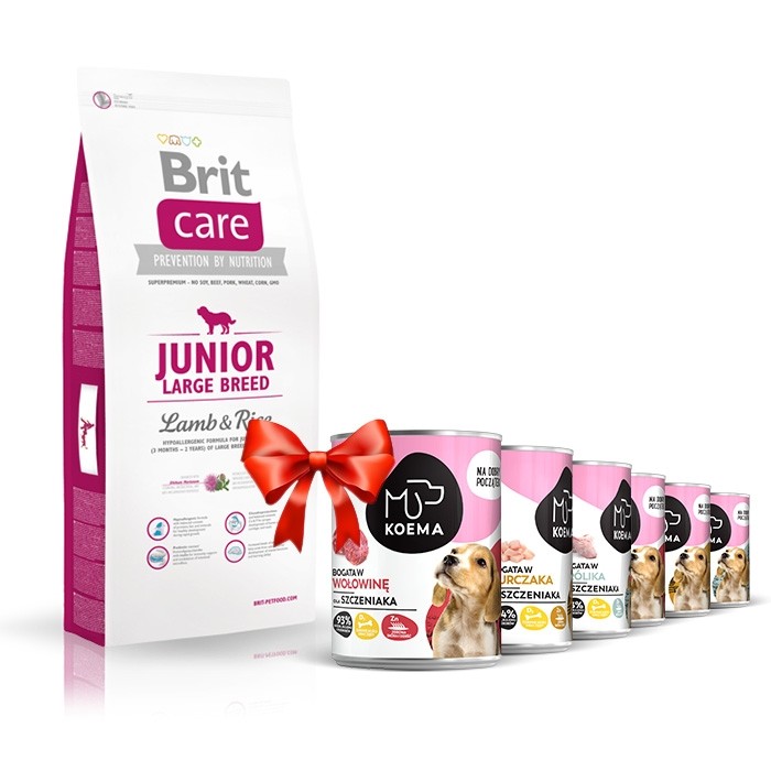 Karmy suche dla psa - Brit Care Junior Large Breed Lamb & Rice Sucha karma jagnięcina ryż