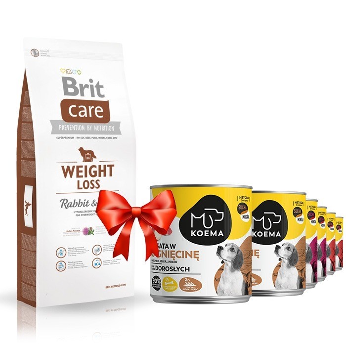 Karmy suche dla psa - Brit Care Weight Loss Rabbit & Rice