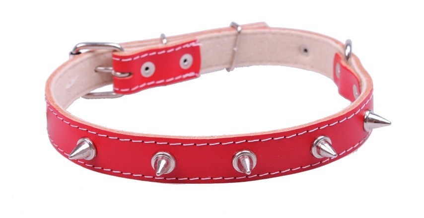 Chico Obroża skórzana ozdobna czerwona z kolcami Smycze, obroże, szelki - Chico Obroża skórzana ozdobna czerwona z kolcami