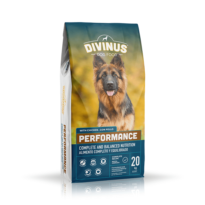 Karmy suche dla psa - Divinus Performance