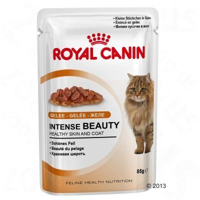 Karmy mokre dla kota - Royal Canin Intense Beauty w galaretce 12x85g
