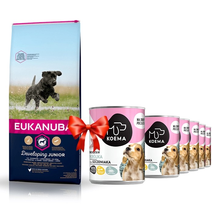 Karmy suche dla psa - Eukanuba Developing Junior Large & Giant Breed